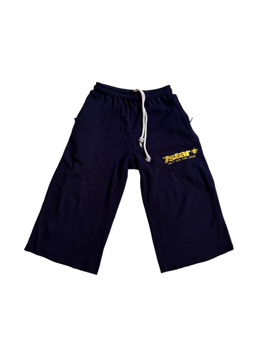 Michigan 3/4 Shorts